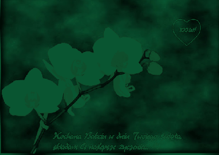 Białe storczyki i życzenia na dzień babci